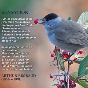 PRADES LABELLIS�E VILLE ET VILLAGE EN PO�SIE